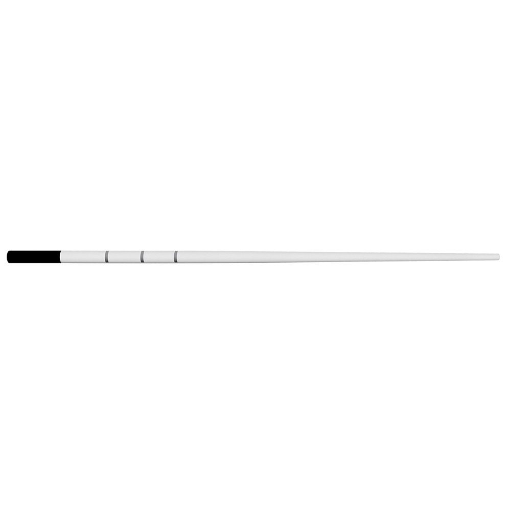 TruNatomy Absorbent Points Large 180St