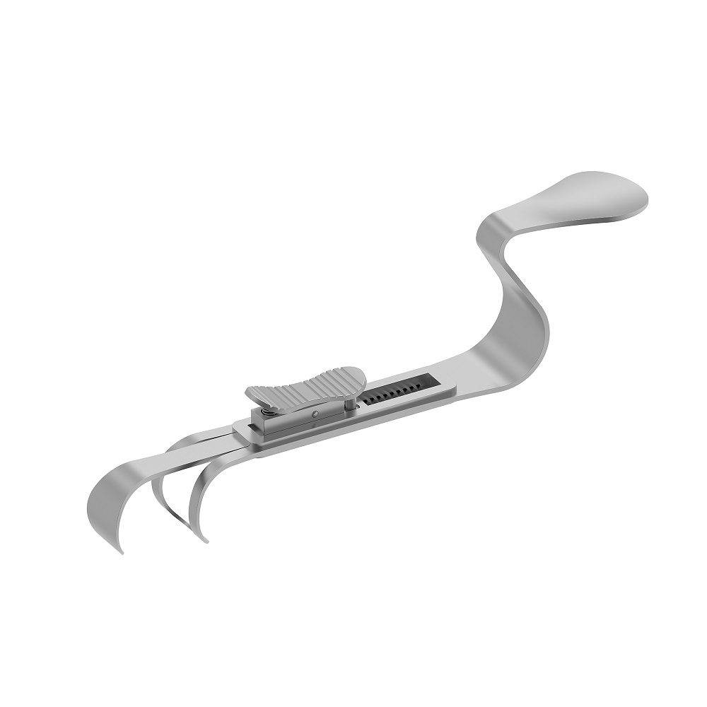Wangenhalter Double Hook  St